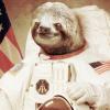 Astro Sloth pls